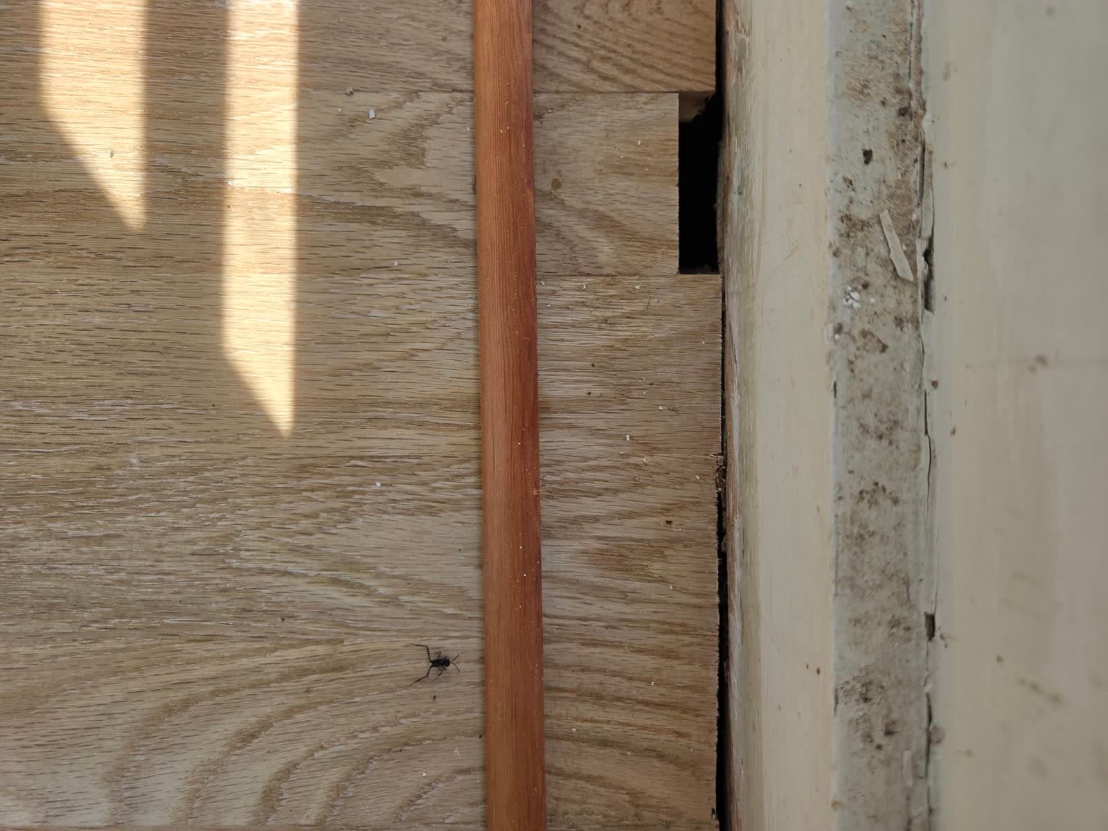 Sep 22: a length of quarter round laid at the jamb to cover the gap where the flooring stops short.